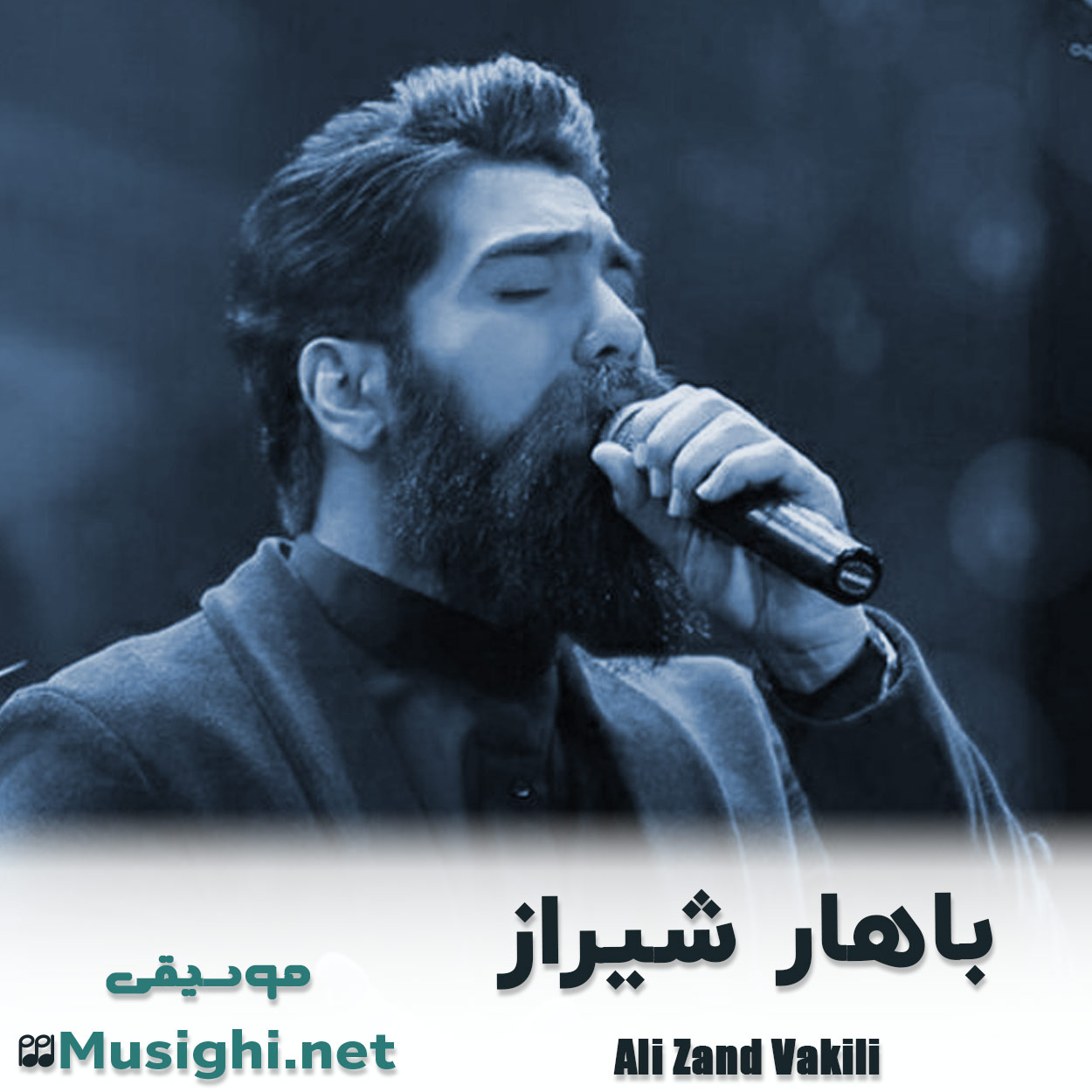 مشاهده تصویر دانلود آهنگ باهار شیراز علی زند وکیلی دانلود اهنگ باهار شیراز علی زند وکیلی